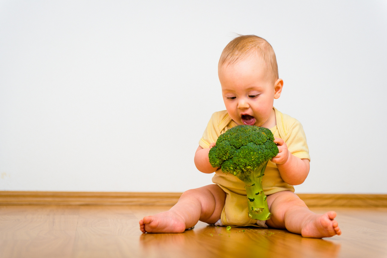 Baby eating broccoli